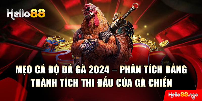 Mẹo cá độ đá gà 2024 – Phân tích bảng thành tích thi đấu của gà chiến