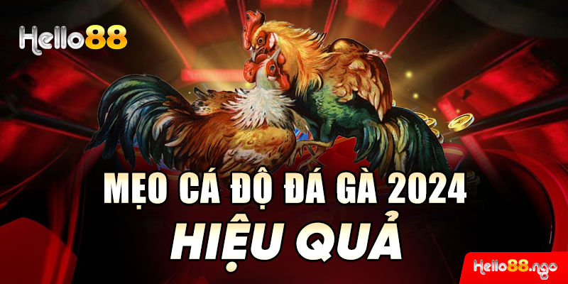 Mẹo cá độ đá gà 2024 hiệu quả