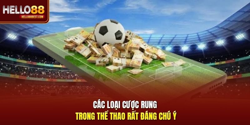 Các loại cược rung trong thể thao rất đáng chú ý