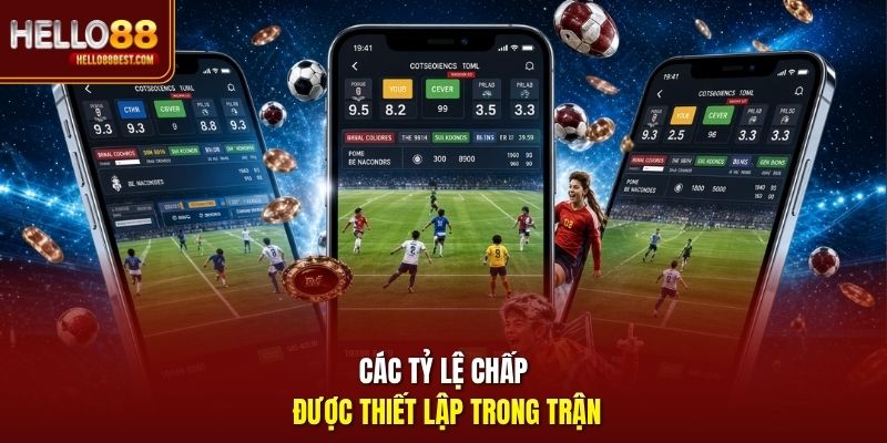 Các tỷ lệ chấp được thiết lập trong trận
